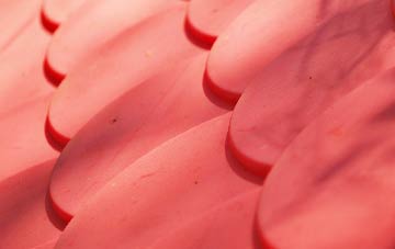 Pauls Green plastic roof costs